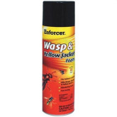 Wasp KIller Foam 16oz Insecticide (12)